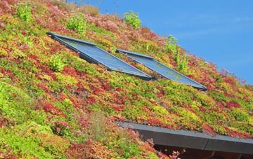 Green Bottom living roof systems