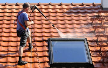 roof cleaning Green Bottom